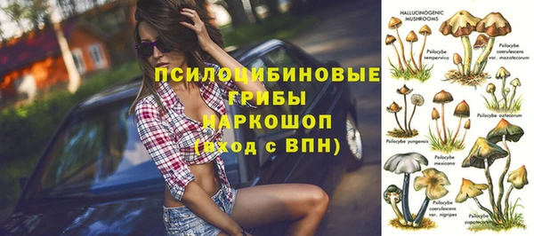 бошки Новодвинск