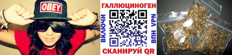 Галлюциногенные грибы мухоморы  ссылка на мегу зеркало  Катав-Ивановск 